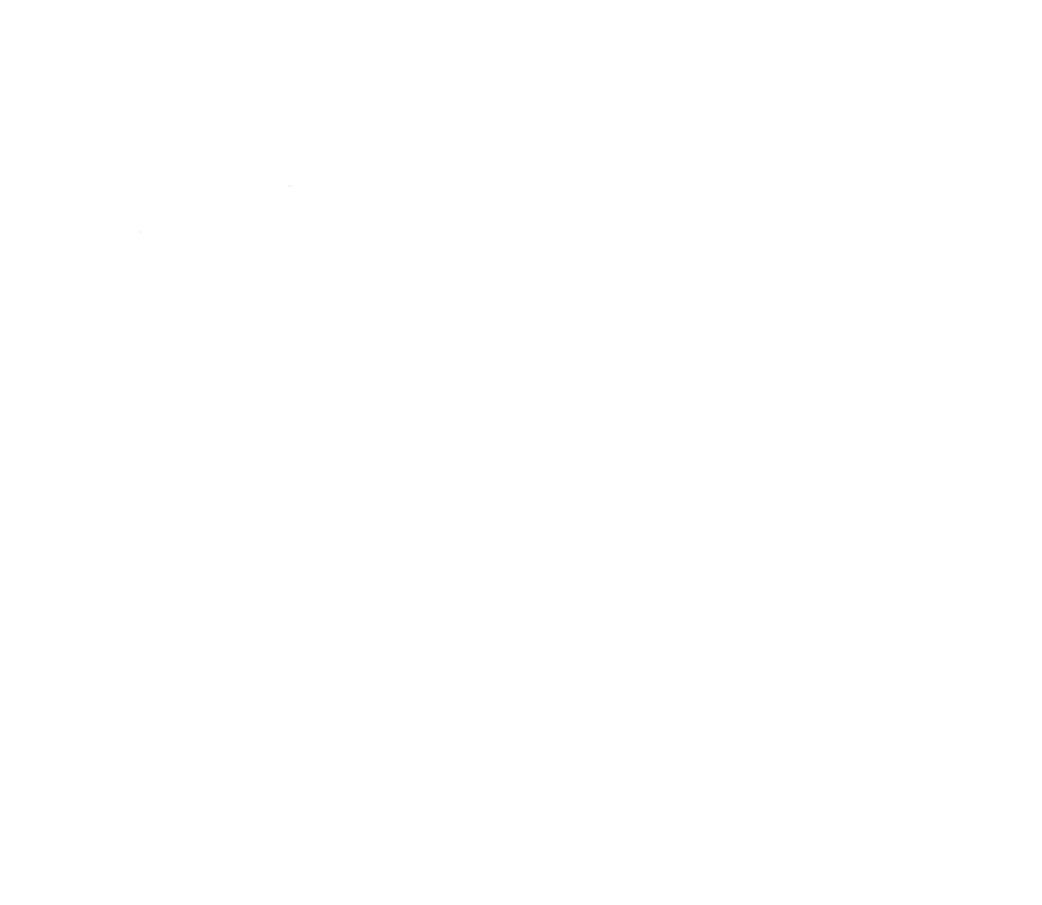 DentelleTanga-min